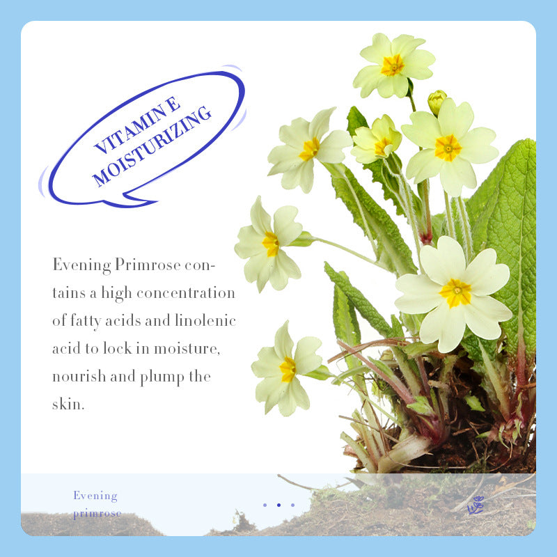 Evening Primrose Vitamin E Solution Face Cream